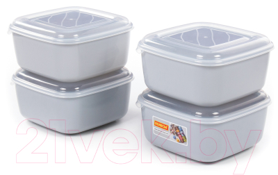 Набор контейнеров Полесье №38 2.4л с крышками / 73751