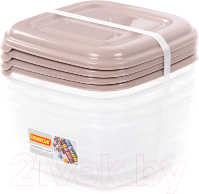 Набор контейнеров Полесье №38 2.4л с крышками / 73775 - фото