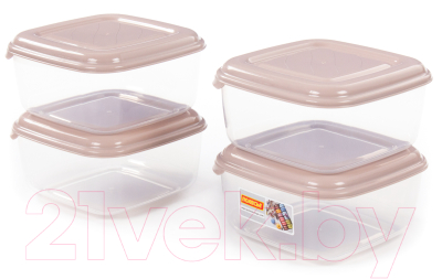Набор контейнеров Полесье №38 2.4л с крышками / 73775