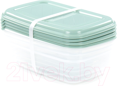 Набор контейнеров Полесье №40 1.6л с крышками / 73782 - фото