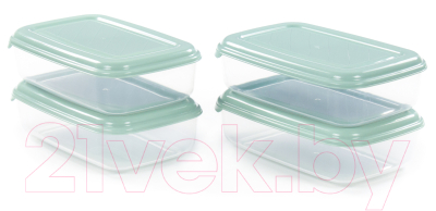 Набор контейнеров Полесье №40 1.6л с крышками / 73782