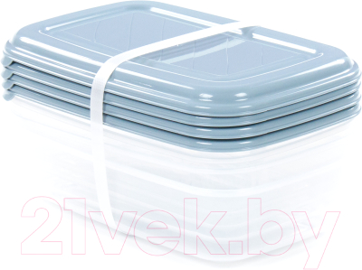 Набор контейнеров Полесье №40 1.6л с крышками / 73799 - фото