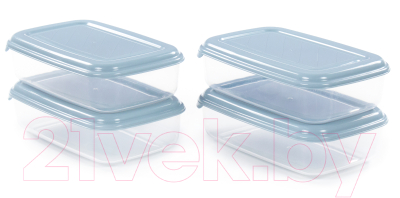 Набор контейнеров Полесье №40 1.6л с крышками / 73799