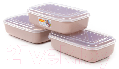 Набор контейнеров Полесье №41 2.7л с крышками / 73829