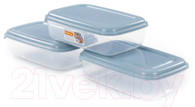Набор контейнеров Полесье №41 2.7л с крышками / 73836