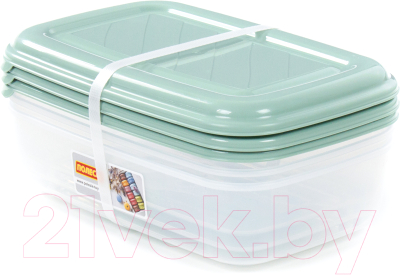 Набор контейнеров Полесье №41 2.7л с крышками / 73843 - фото