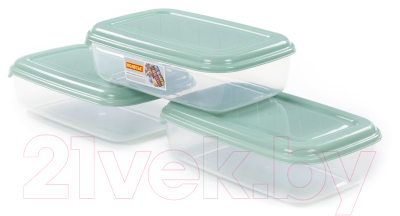 Набор контейнеров Полесье №41 2.7л с крышками / 73843