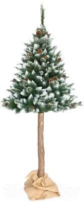 Сосна искусственная Toyland С белыми кончиками и шишками на штамбе - фото