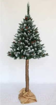 Сосна искусственная Toyland С белыми кончиками и шишками на штамбе