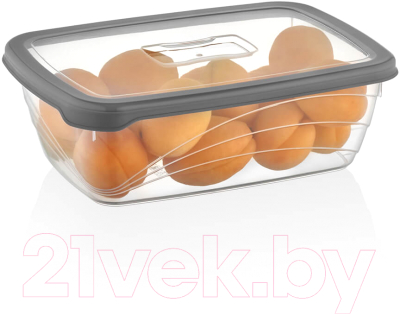 Контейнер Qluxplastic Bio L-00761