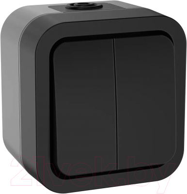 Выключатель IEK Tors TS-V20-0-10-55-K53 - фото