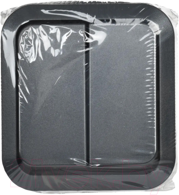 Выключатель IEK Tors TS-V20-0-10-55-K53