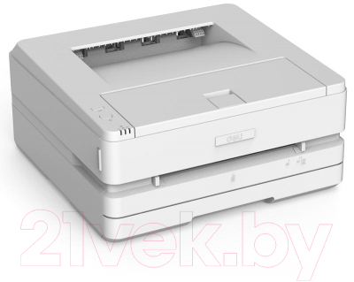 Принтер Deli Laser / P2500DW