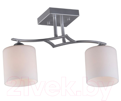 Потолочный светильник Omnilux Pisticci OML-55307-02 - фото