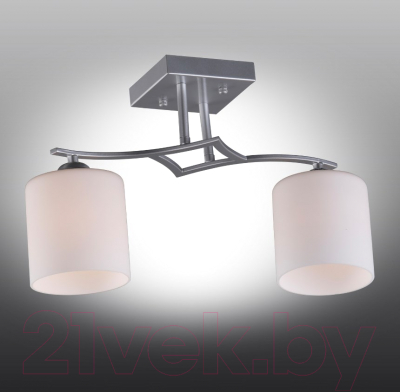 Потолочный светильник Omnilux Pisticci OML-55307-02