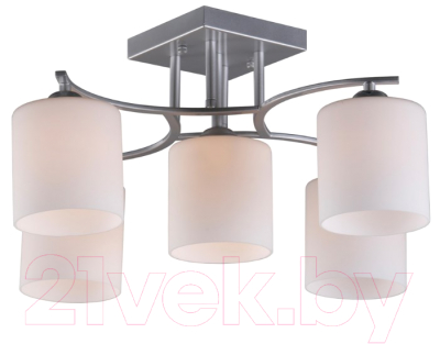 Люстра Omnilux Pisticci OML-55307-05 - фото