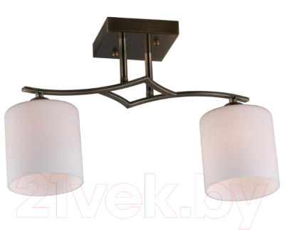 Потолочный светильник Omnilux Pisticci OML-55317-02 - фото