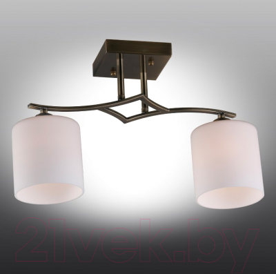Потолочный светильник Omnilux Pisticci OML-55317-02