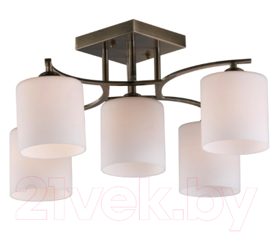 Люстра Omnilux Pisticci OML-55317-05 - фото