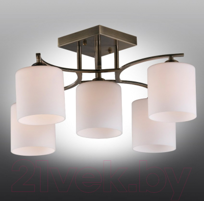 Люстра Omnilux Pisticci OML-55317-05