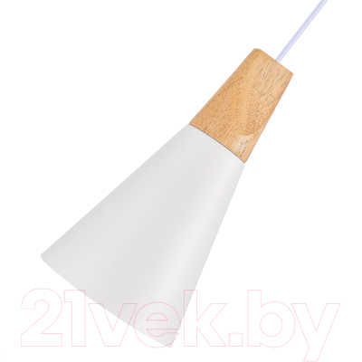 Потолочный светильник Evoluce SLE125153-01