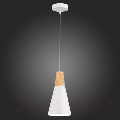 Потолочный светильник Evoluce SLE125153-01