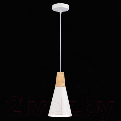 Потолочный светильник Evoluce SLE125153-01