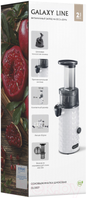 Соковыжималка электрическая Galaxy GL 0807