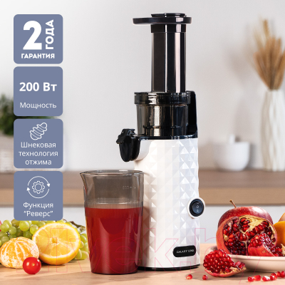 Соковыжималка электрическая Galaxy GL 0807