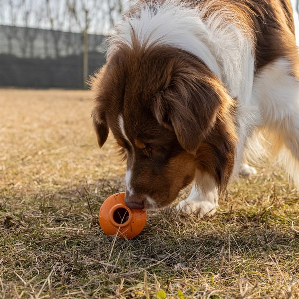 Игрушка для собак Ferplast Crazy Bell / 86617499