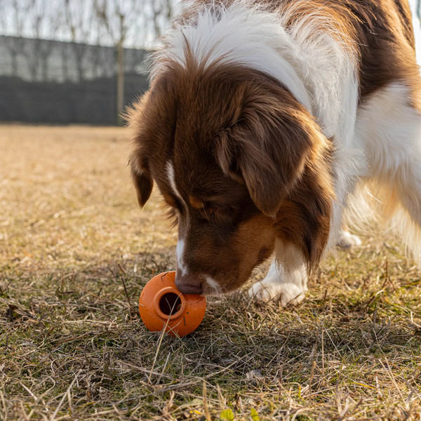 Игрушка для собак Ferplast Crazy Bell / 86617699