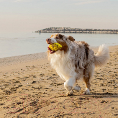 Игрушка для кошек Ferplast Chewa Boing / 86626722