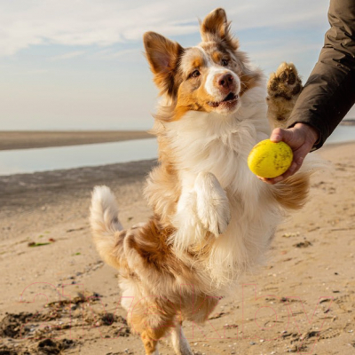 Игрушка для кошек Ferplast Chewa Boing / 86626722