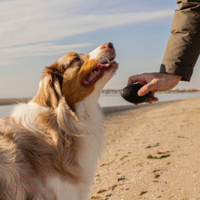 Игрушка для кошек Ferplast Chewa Boing / 86627717