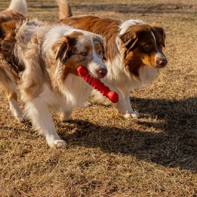 Игрушка для кошек Ferplast Smile / 86786922