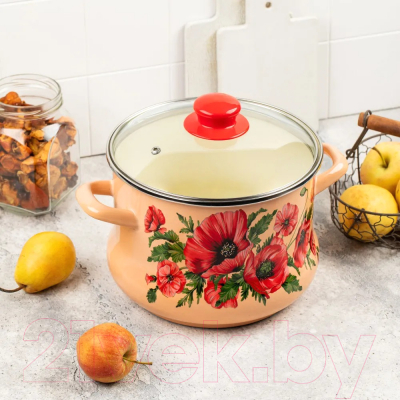 Кастрюля Metrot 348280