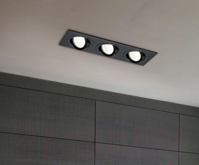 Точечный светильник Maytoni Atom DL024-2-03B