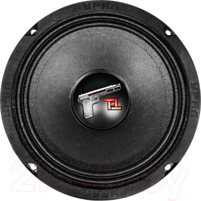 Среднечастотная АС Урал ТТ 165.2 - фото