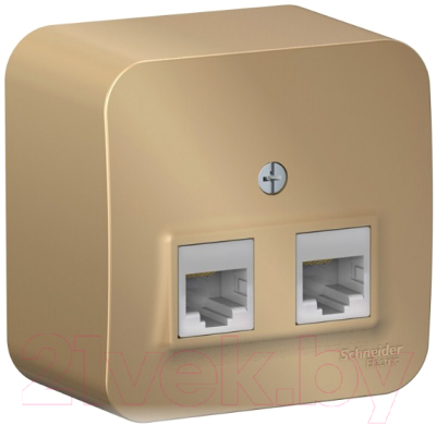 Розетка Schneider Electric Blanca BLNIA045454 - фото