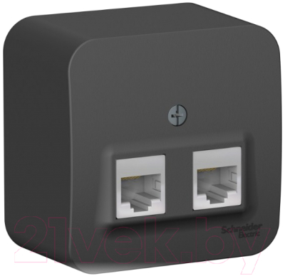 Розетка Schneider Electric Blanca BLNIA045456 - фото