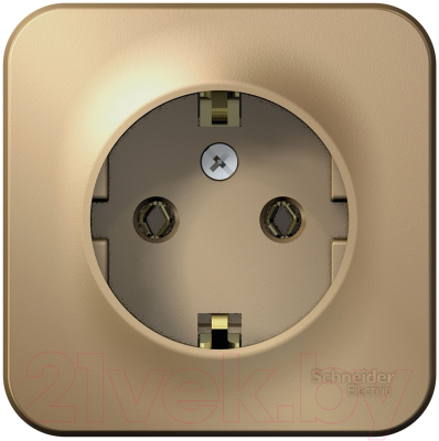 Розетка Schneider Electric Blanca BLNRA010114 - фото