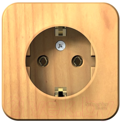 Розетка Schneider Electric Blanca BLNRA010115 - фото