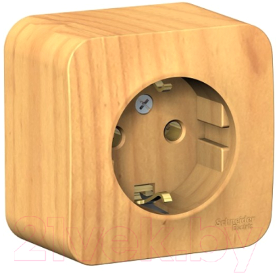 Розетка Schneider Electric Blanca BLNRA010115