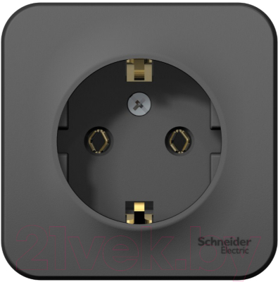 Розетка Schneider Electric Blanca BLNRA010116 - фото