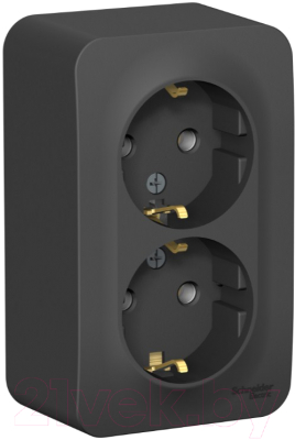 Розетка Schneider Electric Blanca BLNRA010206