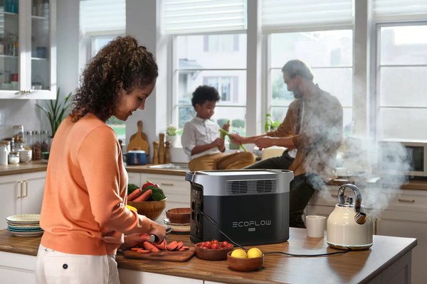 Портативная зарядная станция EcoFlow Delta 2 Max