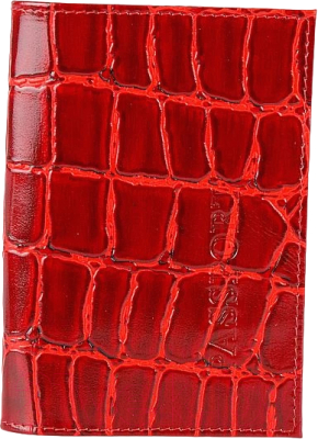 Обложка на паспорт Poshete 604-002ET-RED - фото