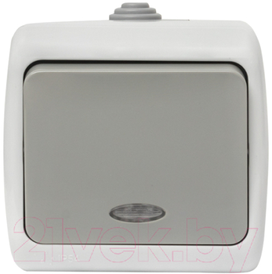 Выключатель EKF Мурманск 1кл 10А IP54 / EFV10-121-30-54