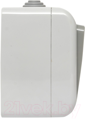 Выключатель EKF Мурманск 1кл 10А IP54 / EFV10-121-30-54