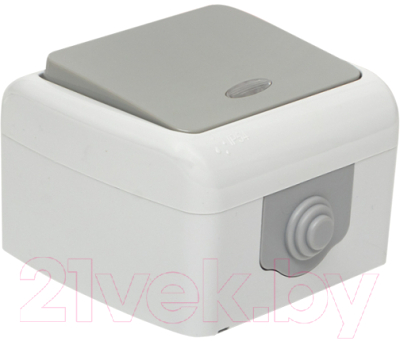 Выключатель EKF Мурманск 1кл 10А IP54 / EFV10-121-30-54